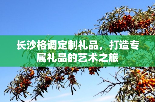 长沙格调定制礼品，打造专属礼品的艺术之旅