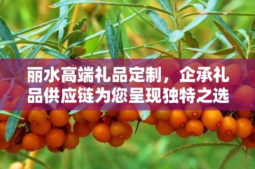 丽水高端礼品定制，企承礼品供应链为您呈现独特之选