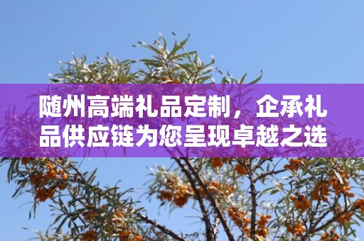 随州高端礼品定制，企承礼品供应链为您呈现卓越之选