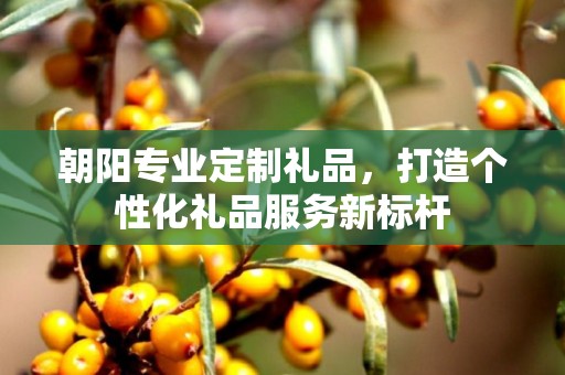 朝阳专业定制礼品，打造个性化礼品服务新标杆