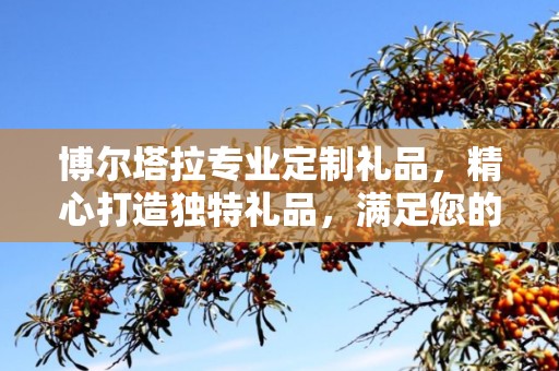 博尔塔拉专业定制礼品，精心打造独特礼品，满足您的个性化需求