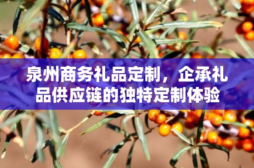 泉州商务礼品定制，企承礼品供应链的独特定制体验