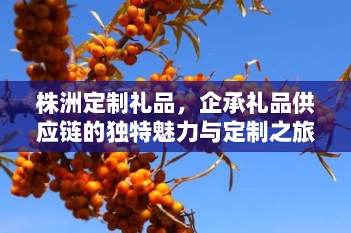株洲定制礼品，企承礼品供应链的独特魅力与定制之旅
